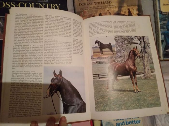 Horse / Equestrian Books