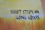Short Stories in long Grass