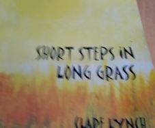 Short Stories in long Grass