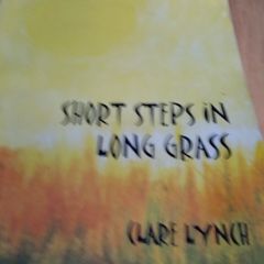 Short Stories in long Grass
