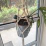 Beautiful hanging plant including pot and hanging basket Image 3