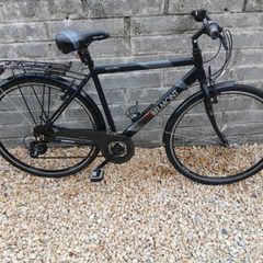 Adults Bike