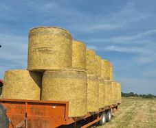 5 or 6 Bales left.