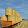 Horse Hay Image 8