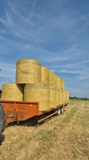 2025 Hay for sale. Horse Hay.