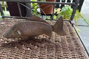 Fish Menu holder