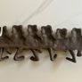 Decorative Cast Iron Frog Wall Hook Image 3
