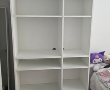 shelf