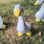 Ducks x 3 Image 2