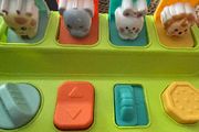 Baby Toy Bundle