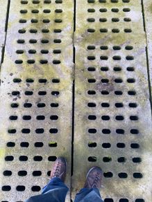 Concrete cattle slats