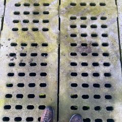 Concrete cattle slats