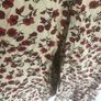 maxi dress Image 5