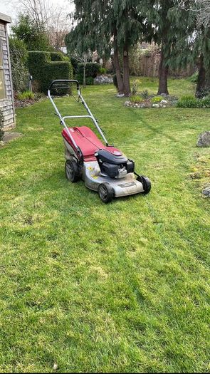 Grass Cutting & Garden Maintenance