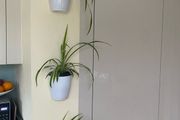 Self watering plant pot