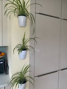 Self watering plant pot