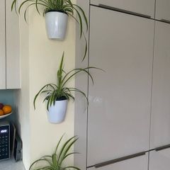 Self watering plant pot