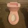 training potty Image 3