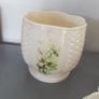 5 Piece Donegal Irish Parian China Image 4
