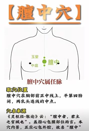 Professional Mobile Massage Service