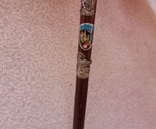 Vintage German Hiking Pole with 12 Souvenir Badges