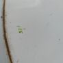 Massive antique suckling pig/ goose serving platter Image 4