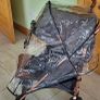 buggy Image 3