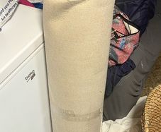 carpet