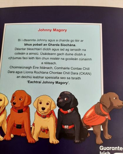 New Gaeilge book