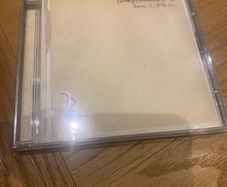 Babyshambles Down in Albion