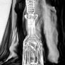 Waterford Crystal Decanter Image 5