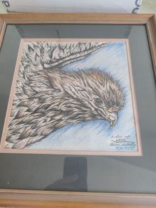 Lovely Fraamrd Signed Pictuer Of Egale  Pencel Coloered By Alan Whitty.