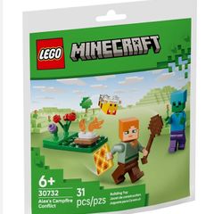 LEGO Minecraft 30732 Alex's Campfire Conflict