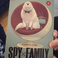 German manga