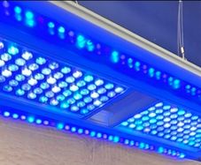 marine lights