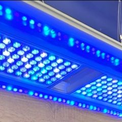 marine lights