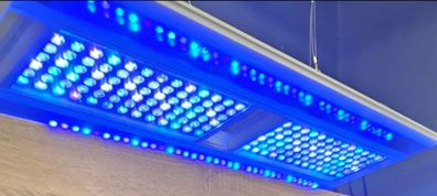 marine lights