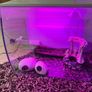 Fish tank Fluval Image 4