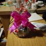 3 candles Image 2