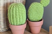 Handmade (crocheted) cactus