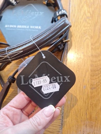 bridle