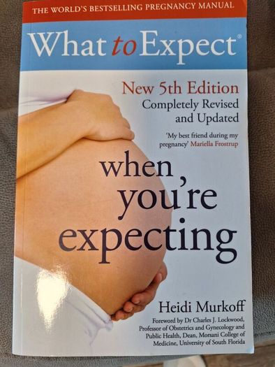 pregnancy books