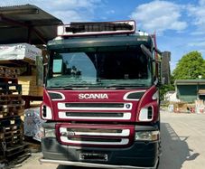 Scaina P310 Rear Stear