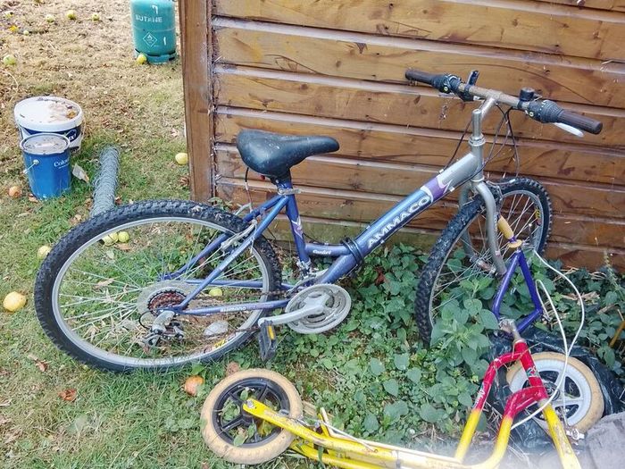 Teenager Girls Bike