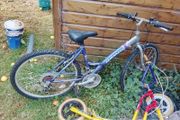 Teenager Girls Bike