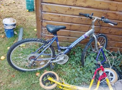 Teenager Girls Bike
