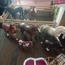 Schleich horse stables & horses Image 3