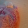 new romance collectable beanie bear with tag Image 6