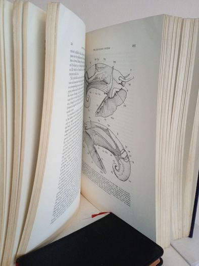 British Prosobranch Molluscs: Their Functional Anatomy and Ecology by Vera Fretter and Alastair Graham (RB248)