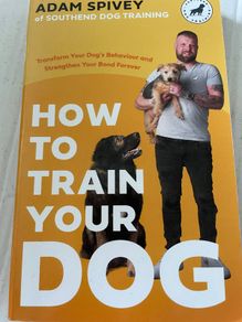 How To Train Your Dog